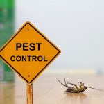 Pest Control