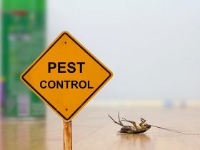 Pest Control