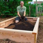 Raised Vegetable Garden in Your Yard