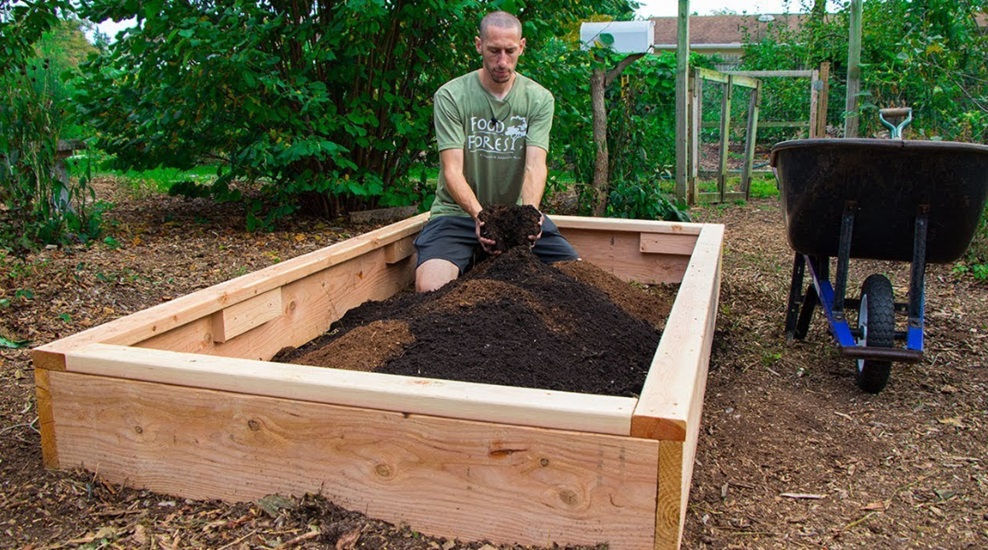 Raised Vegetable Garden in Your Yard