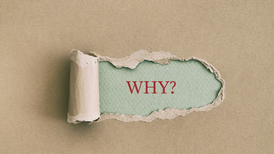 Remove Mold from Wood